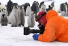 March of the penguins  © Warner Bros